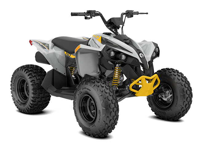 CAN-AM RENEGADE 110 EFI (2025)