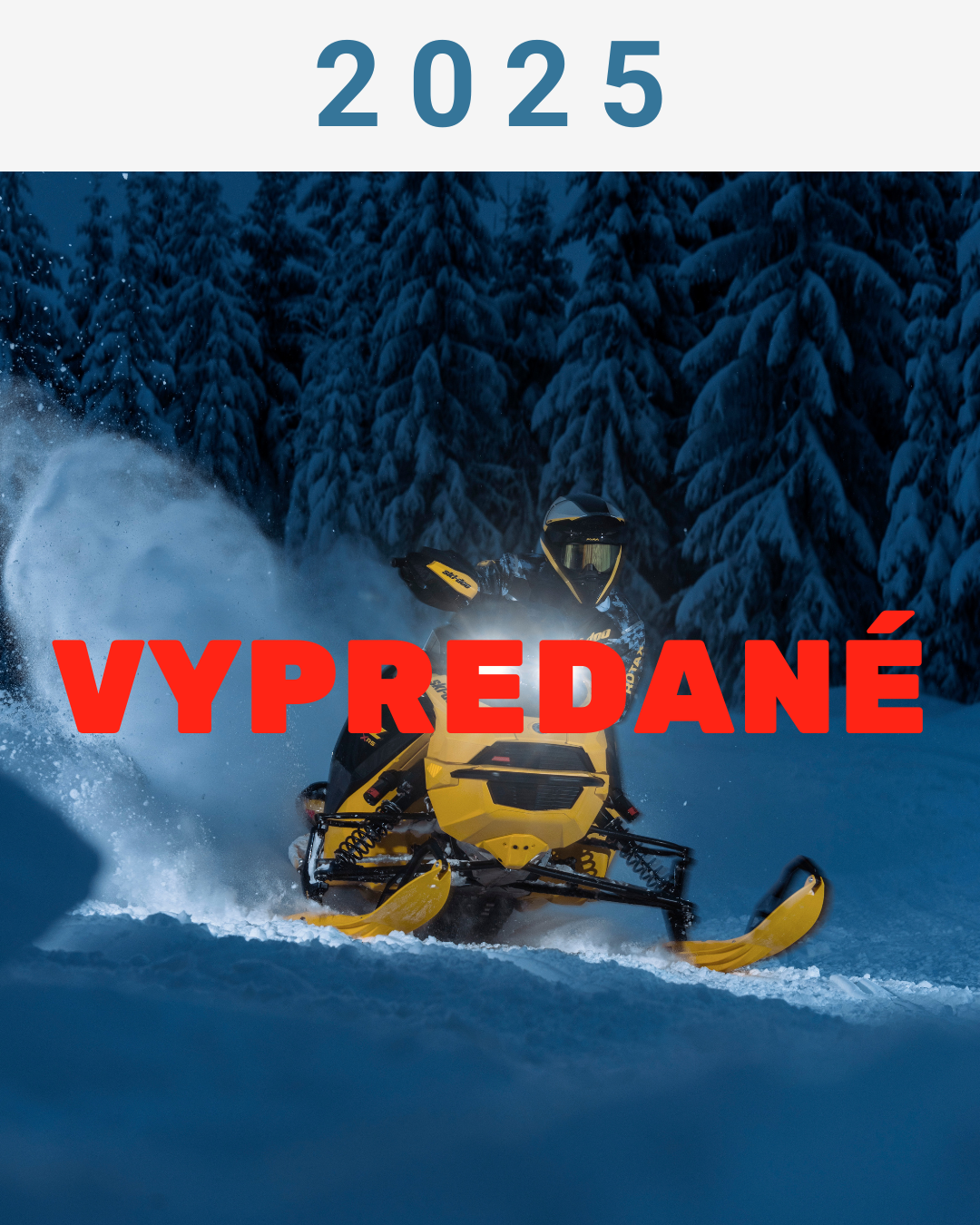 SKI-DOO 2025